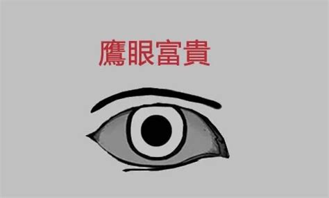 鷹眼眼型|解析面相中的鷹眼